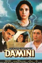 Damini Movie 